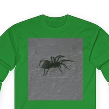 Spider Shirt – Spooky Long Sleeve Graphic Tee